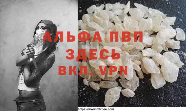 сатива Пролетарск
